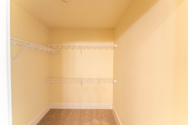 spacious closet with carpet flooring