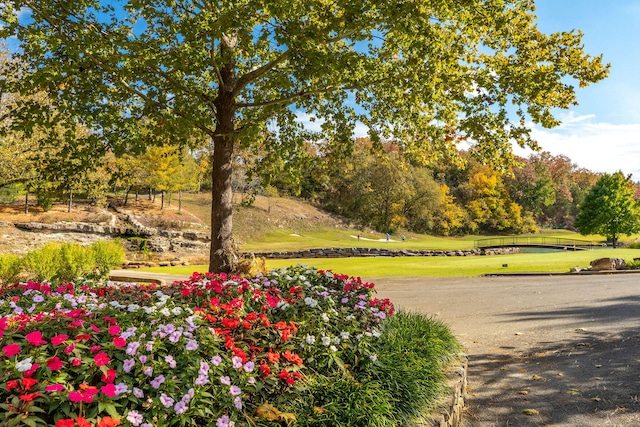 view of property's community featuring a lawn