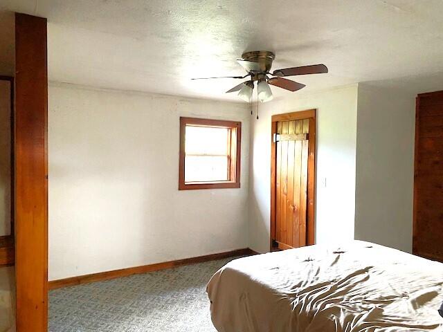 bedroom featuring ceiling fan and carpet floors