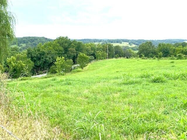 view of landscape featuring a rural view