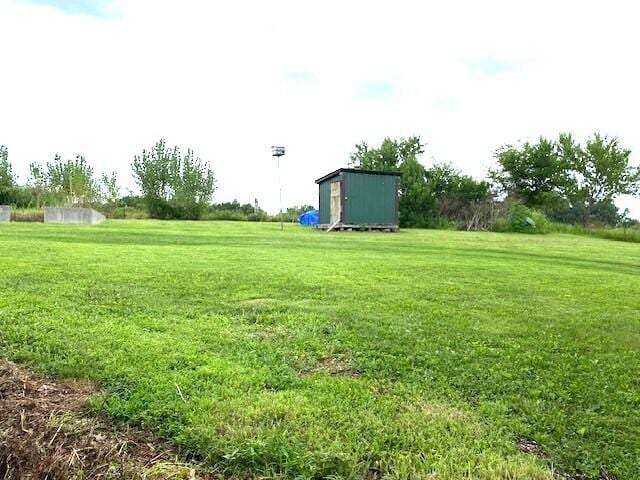 view of yard with a shed