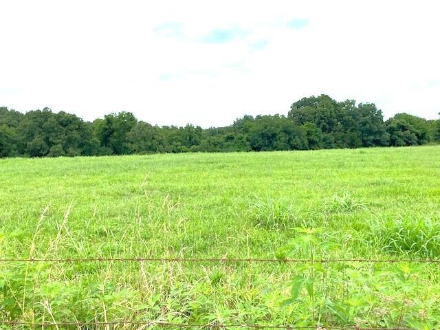 view of local wilderness featuring a rural view