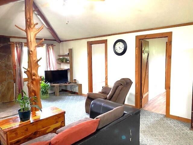 living room with crown molding and wood-type flooring