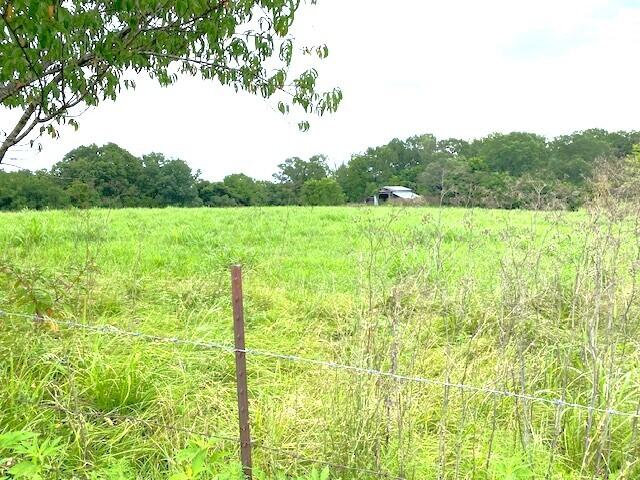 view of yard with a rural view