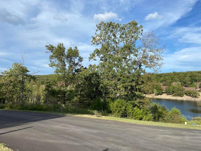 Listing photo 2 for LOT244 Blue Lake Trl, Branson West MO 65737