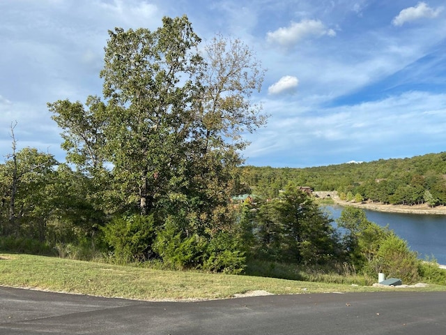 Listing photo 3 for LOT244 Blue Lake Trl, Branson West MO 65737