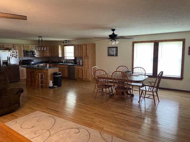 dining space featuring ceiling fan, light wood-type flooring, plenty of natural light, and sink