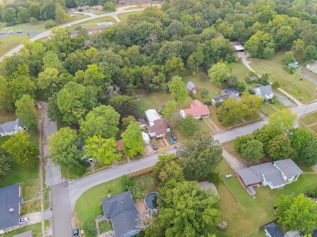 bird's eye view