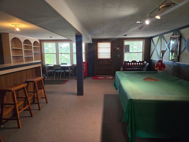 game room with plenty of natural light, carpet floors, and wood walls