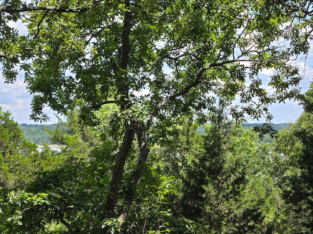 view of landscape