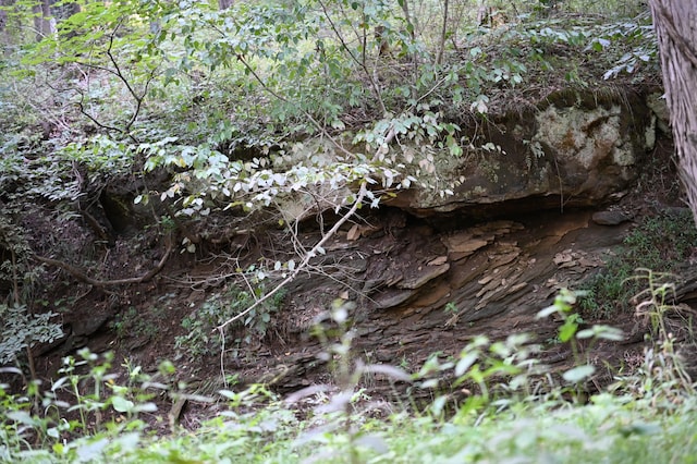 view of nature