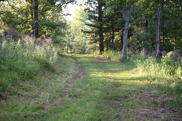 view of nature