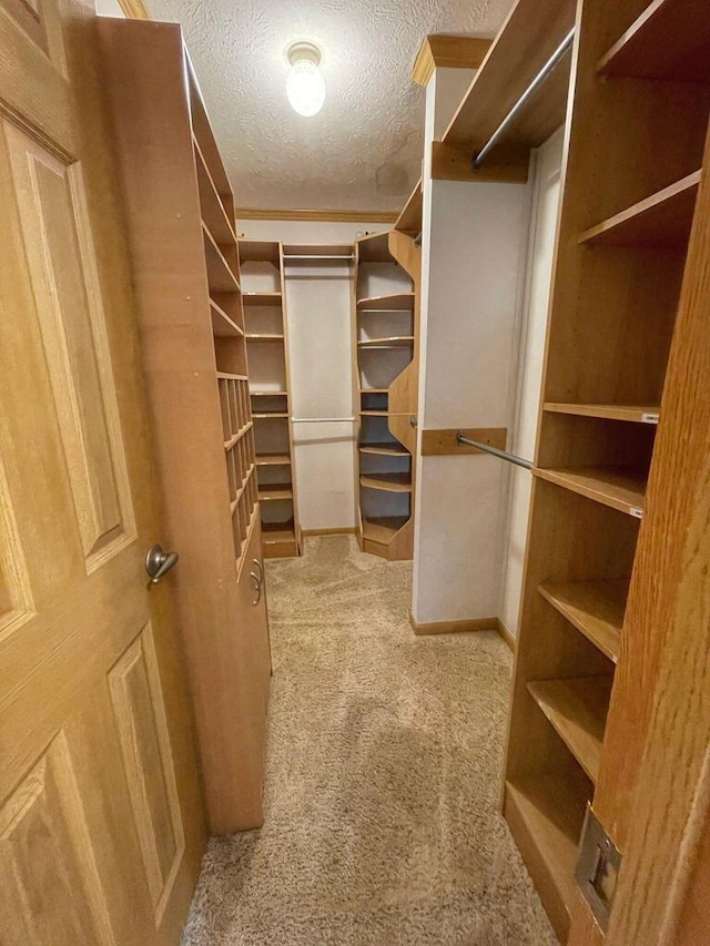 walk in closet featuring light carpet