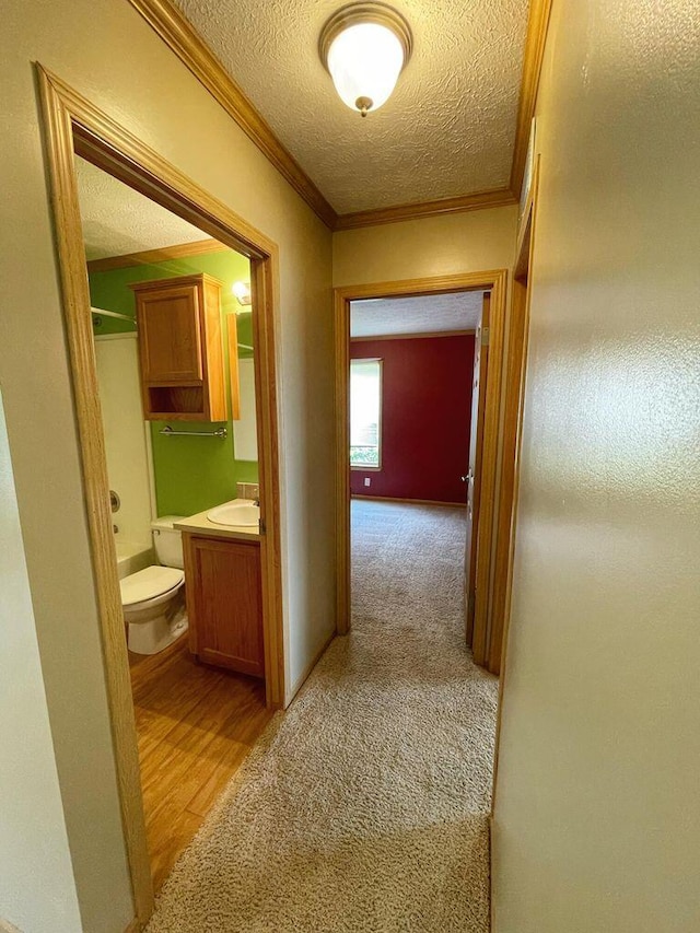 hallway with light carpet, a textured ceiling, sink, and ornamental molding