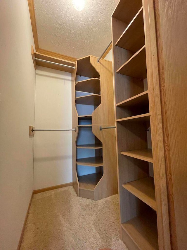 walk in closet featuring carpet flooring