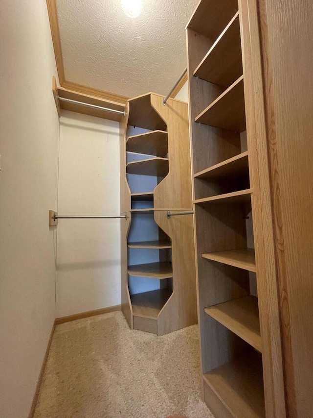 spacious closet featuring carpet flooring