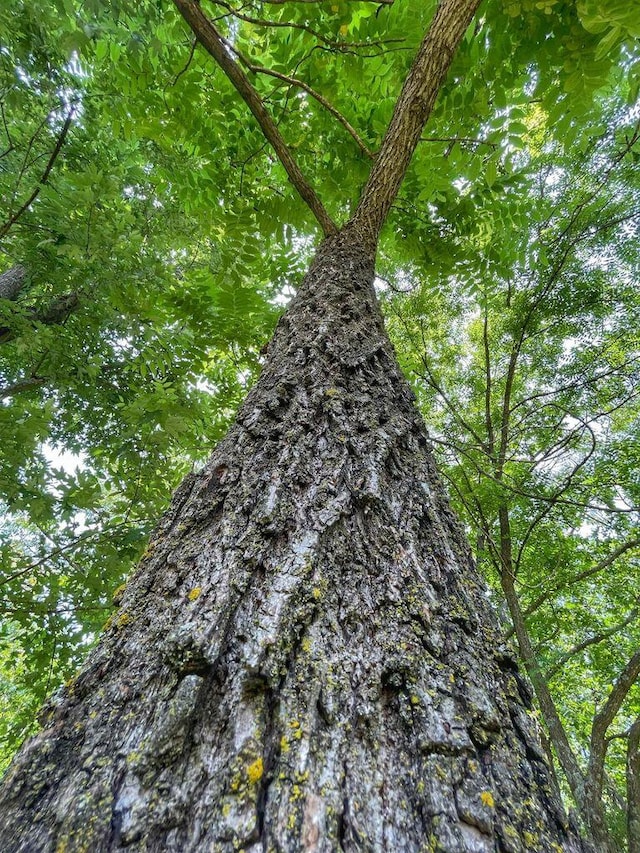 view of nature