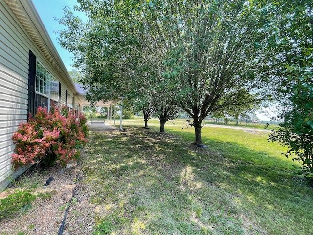 view of yard featuring a patio