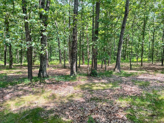 view of nature featuring a view of trees