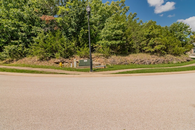 165 Forest Oak Dr, Hollister, MO 65672 - photo 4