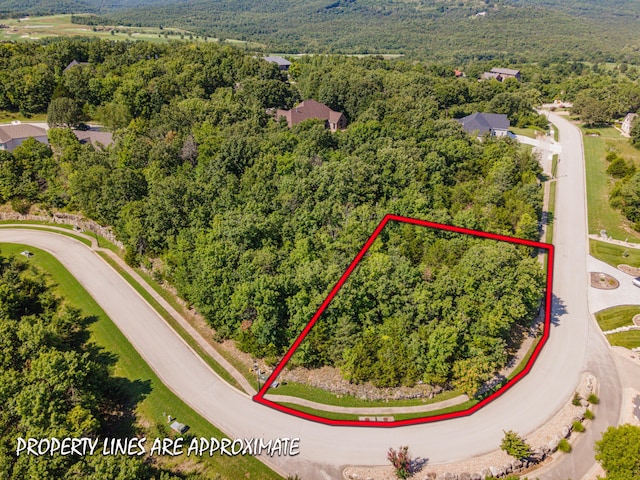 165 Forest Oak Dr, Hollister, MO 65672 - photo 7