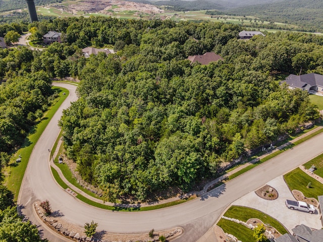 165 Forest Oak Dr, Hollister, MO 65672 - photo 2