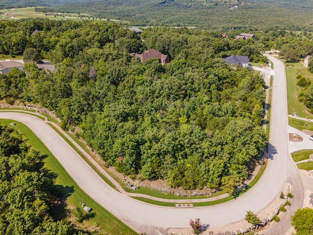 165 Forest Oak Dr, Hollister MO, 65672 land for sale