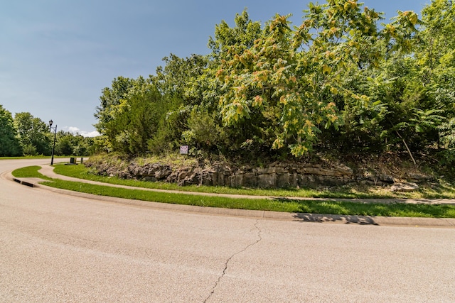 165 Forest Oak Dr, Hollister, MO 65672 - photo 3