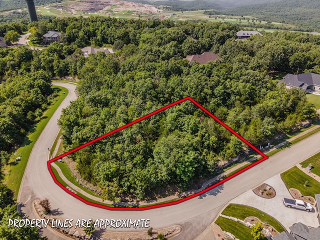 165 Forest Oak Dr, Hollister, MO 65672 - photo 6