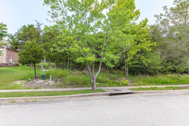 0 Summerwood Dr, Branson, MO 65616