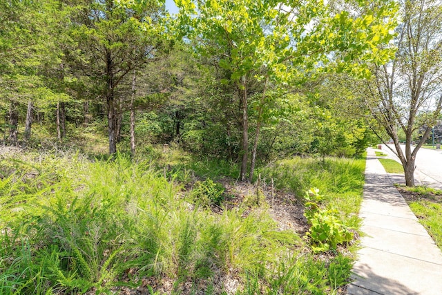 0 Summerwood Dr, Branson, MO 65616
