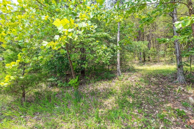 0 Summerwood Dr, Branson, MO 65616