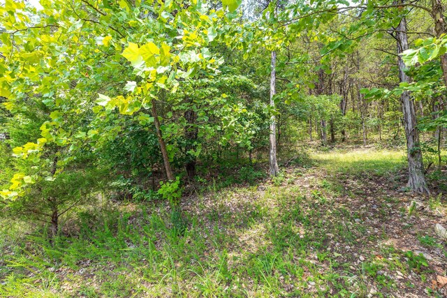 0 Summerwood Dr, Branson, MO 65616