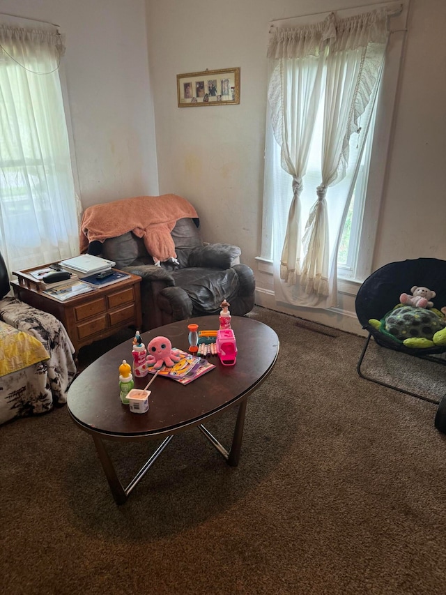 view of carpeted living room