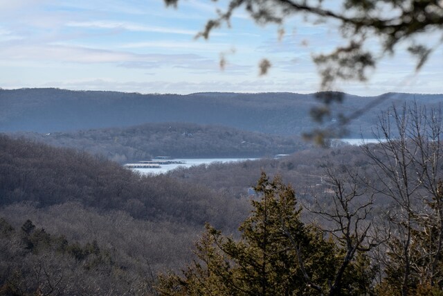 TBD Northwoods Dr, Kimberling City, MO 65686 - photo 3