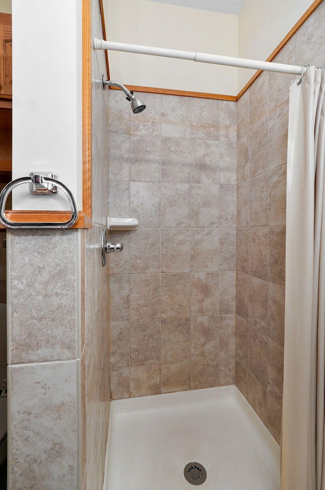 bathroom featuring a shower with shower curtain