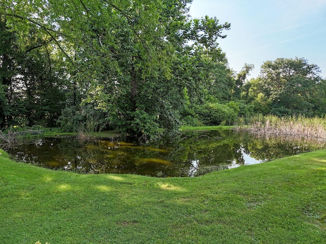 water view