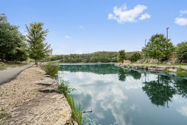 103 Cantwell Ln Unit 72, Branson West, MO 65737 - photo 28