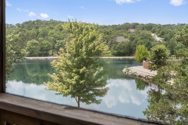 103 Cantwell Ln Unit 72, Branson West, MO 65737 - photo 6