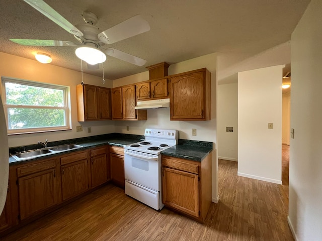 kitchen featuring light wood-type flooring, ceiling fan, sink, white range with electric cooktop, and a textured ceiling