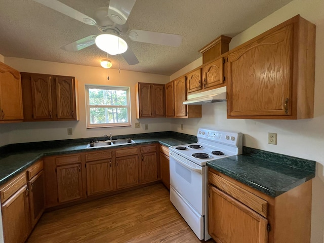 kitchen with light wood-type flooring, ceiling fan, sink, electric stove, and a textured ceiling