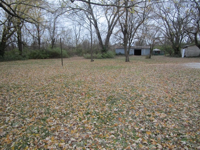 view of yard with a storage shed