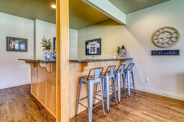 bar with dark hardwood / wood-style floors