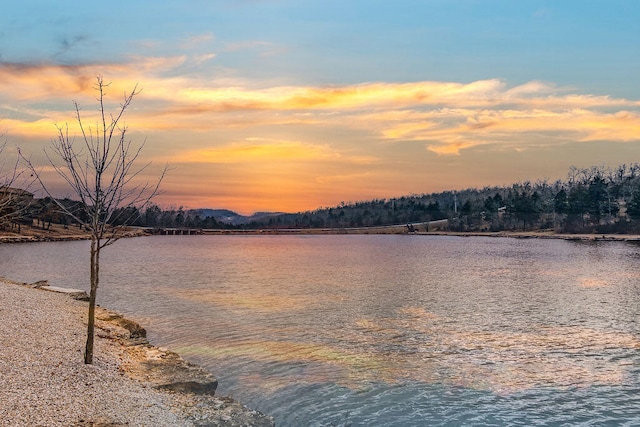 property view of water