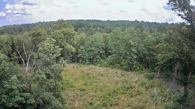 view of nature featuring a view of trees