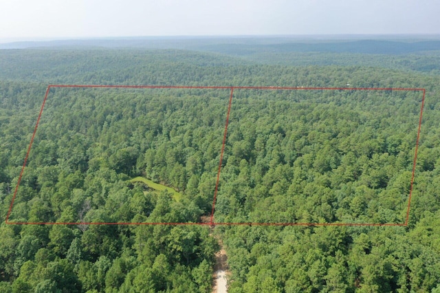 birds eye view of property featuring a wooded view
