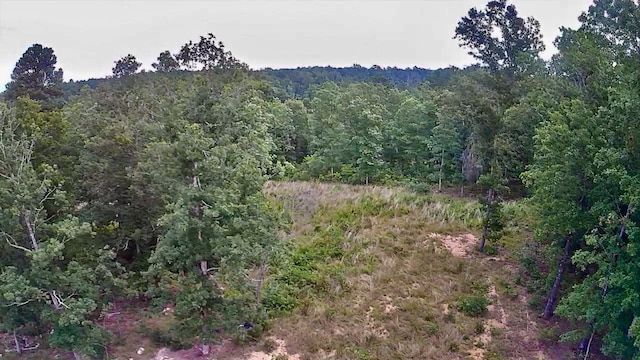 view of landscape with a wooded view