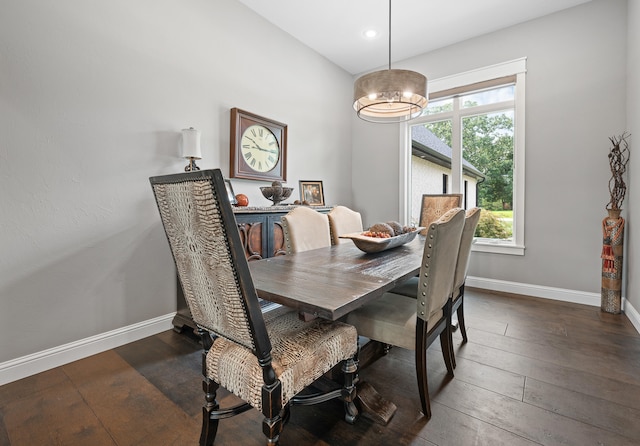 dining room featuring dark wood-type flooring