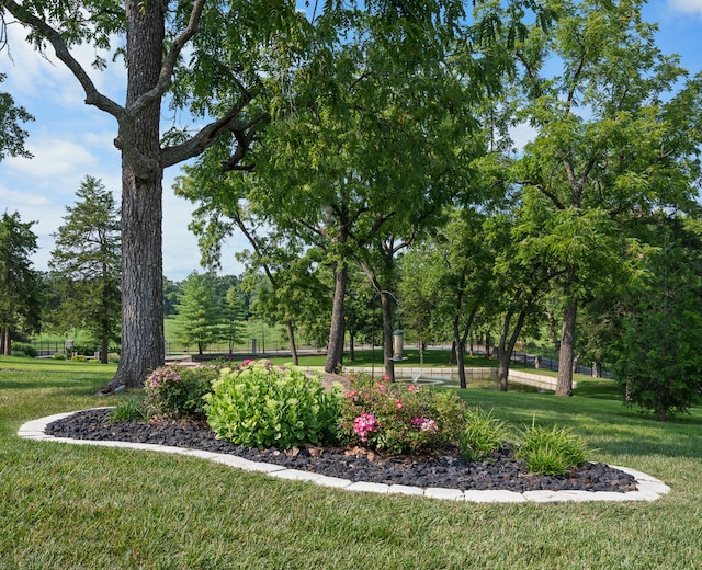 view of property's community featuring a lawn