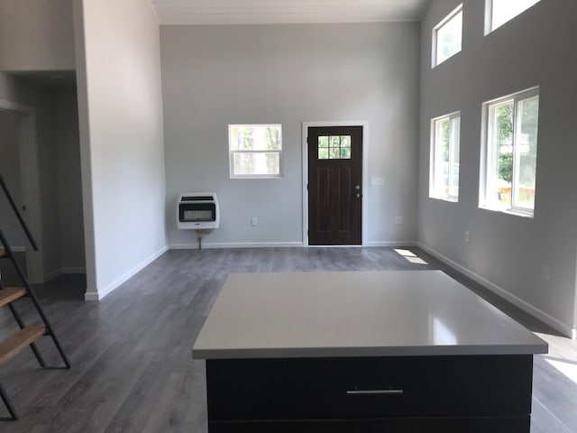 entrance foyer featuring dark wood-type flooring, heating unit, a towering ceiling, and a wealth of natural light